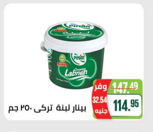 Yogurt & Labneh in Seoudi Supermarket, Egypt Offers - Egypt PINAR Labneh available at Seoudi Supermarket in Egypt - Cairo