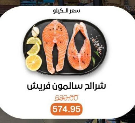 الأسماك الطازجة in بيت الجملة, Egypt Offers - Egypt available at بيت الجملة in Egypt - القاهرة