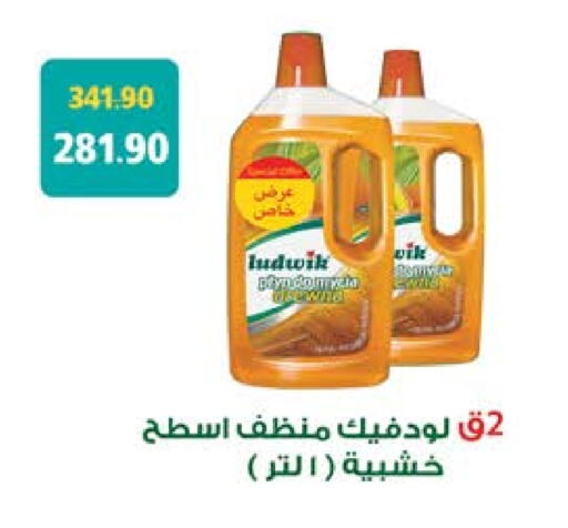 General Cleaner available at Seoudi Supermarket in Egypt - Cairo