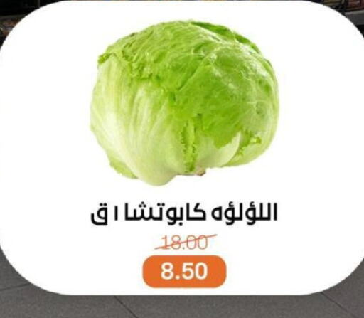 الخضروات الطازجة in بيت الجملة, Egypt Offers - Egypt available at بيت الجملة in Egypt - القاهرة