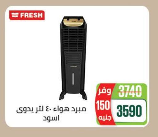FRESH available at Seoudi Supermarket in Egypt - Cairo