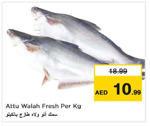 available at Nesto Hypermarket in UAE - Fujairah