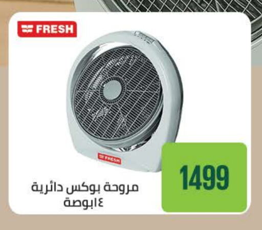 FRESH Fan available at Seoudi Supermarket in Egypt - Cairo