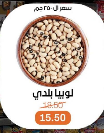 البقول، الفول والحبوب in بيت الجملة, Egypt Offers - Egypt available at بيت الجملة in Egypt - القاهرة