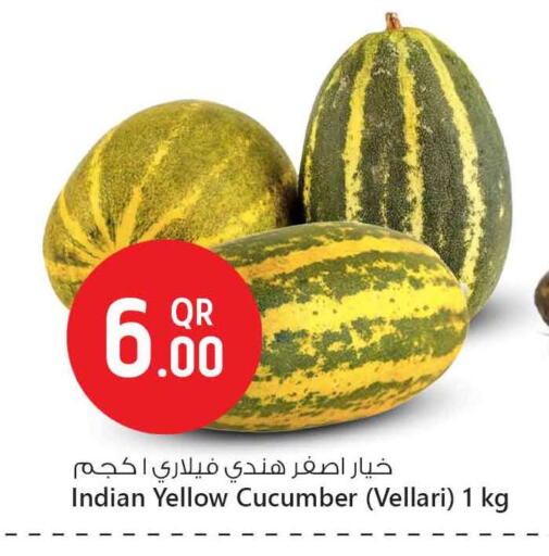Cucumber from India available at Safari Hypermarket in Qatar - Doha