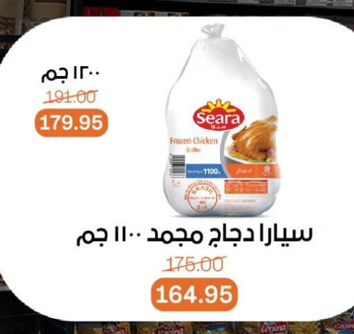 سيارا دجاج كامل مجمد available at بيت الجملة in Egypt - القاهرة