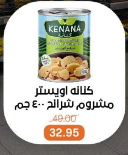 أغذية معلبة ومغلفة in بيت الجملة, Egypt Offers - Egypt available at بيت الجملة in Egypt - القاهرة