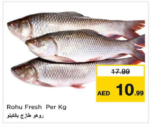 available at Nesto Hypermarket in UAE - Fujairah