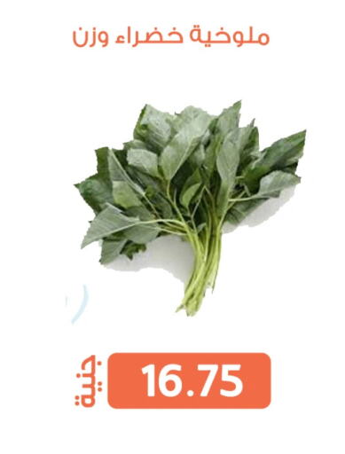الخضروات الطازجة in سوق غلاب, Egypt Offers - Egypt available at سوق غلاب in Egypt - القاهرة