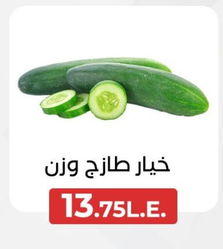 الخضروات الطازجة in عرفة ماركت, Egypt Offers - Egypt خيار available at عرفة ماركت in Egypt - القاهرة