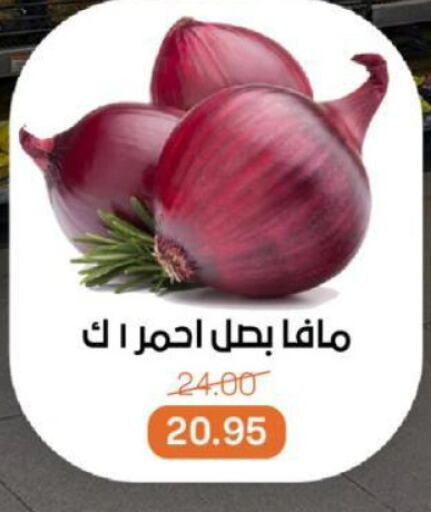 الخضروات الطازجة in بيت الجملة, Egypt Offers - Egypt بصل available at بيت الجملة in Egypt - القاهرة