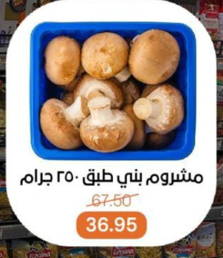 أغذية معلبة ومغلفة in بيت الجملة, Egypt Offers - Egypt available at بيت الجملة in Egypt - القاهرة