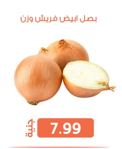 الخضروات الطازجة in سوق غلاب, Egypt Offers - Egypt بصل available at سوق غلاب in Egypt - القاهرة