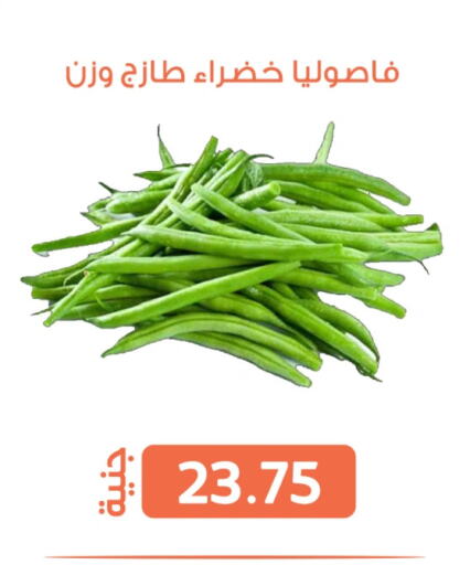 الخضروات الطازجة in سوق غلاب, Egypt Offers - Egypt فاصوليا available at سوق غلاب in Egypt - القاهرة