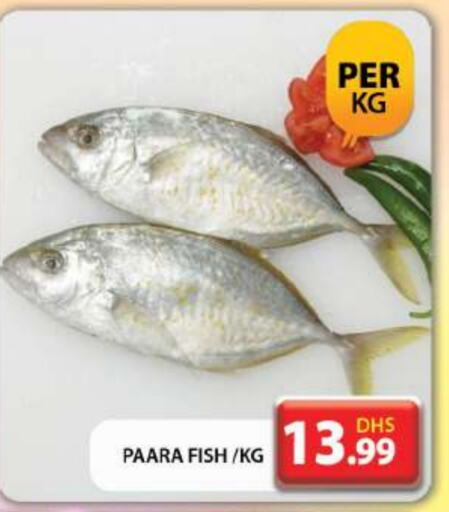 available at Grand Hyper Market in UAE - Dubai