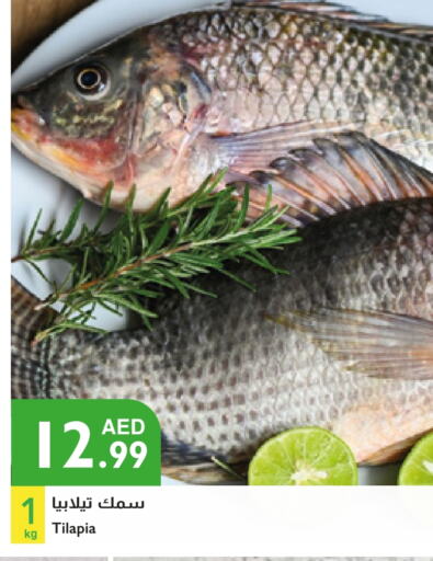 available at Istanbul Supermarket in UAE - Abu Dhabi