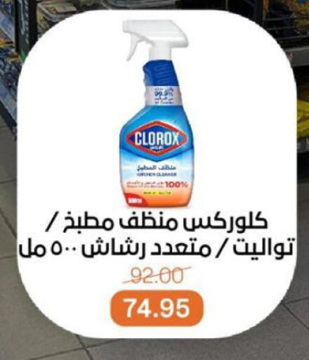 كلوركس منظف عام available at بيت الجملة in Egypt - القاهرة