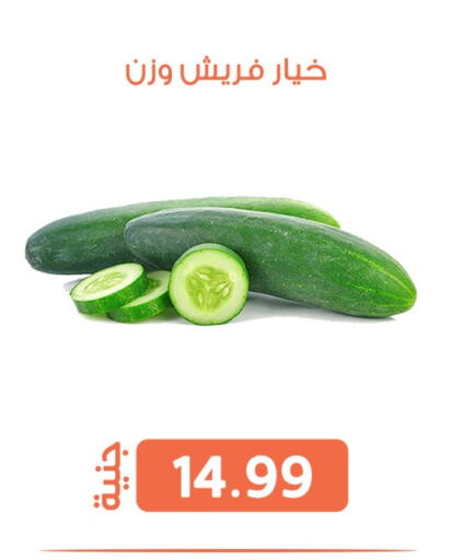 الخضروات الطازجة in سوق غلاب, Egypt Offers - Egypt خيار available at سوق غلاب in Egypt - القاهرة