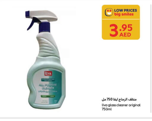 منظف الزجاج available at كارفور in الإمارات العربية المتحدة , الامارات - الشارقة / عجمان