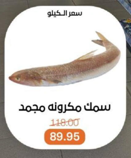 الأسماك الطازجة in بيت الجملة, Egypt Offers - Egypt available at بيت الجملة in Egypt - القاهرة