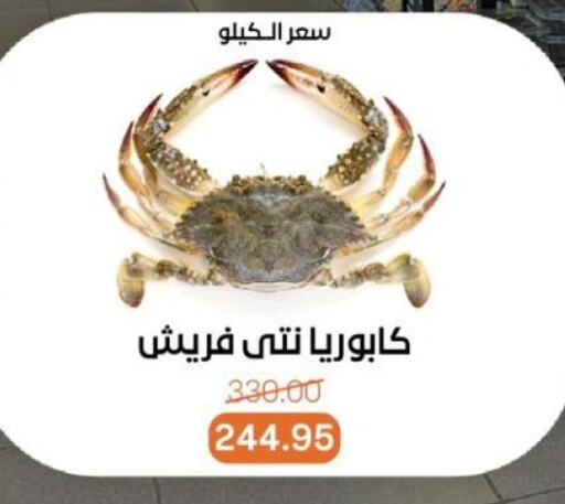 الأسماك الطازجة in بيت الجملة, Egypt Offers - Egypt available at بيت الجملة in Egypt - القاهرة