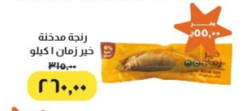 سمك مجمد in خير زمان, Egypt Offers - Egypt available at خير زمان in Egypt - القاهرة