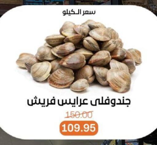 الأسماك الطازجة in بيت الجملة, Egypt Offers - Egypt available at بيت الجملة in Egypt - القاهرة