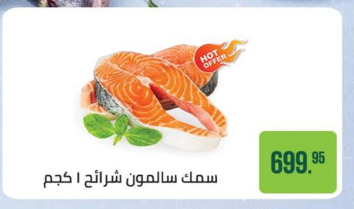 Fresh Fish in Seoudi Supermarket, Egypt Offers - Egypt available at Seoudi Supermarket in Egypt - Cairo