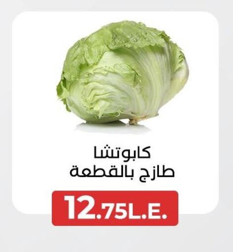الخضروات الطازجة in عرفة ماركت, Egypt Offers - Egypt available at عرفة ماركت in Egypt - القاهرة