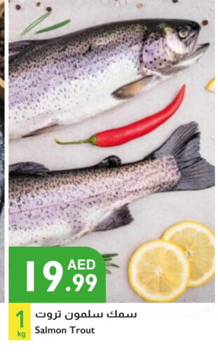 available at Istanbul Supermarket in UAE - Abu Dhabi