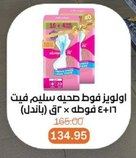 النظافة الشخصية النسائية in بيت الجملة, Egypt Offers - Egypt ألويز available at بيت الجملة in Egypt - القاهرة