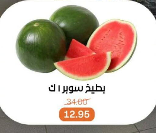 فاكهة طازجة in بيت الجملة, Egypt Offers - Egypt بطيخ available at بيت الجملة in Egypt - القاهرة
