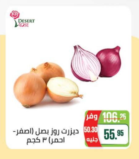 Fresh Vegetables in Seoudi Supermarket, Egypt Offers - Egypt Onion available at Seoudi Supermarket in Egypt - Cairo