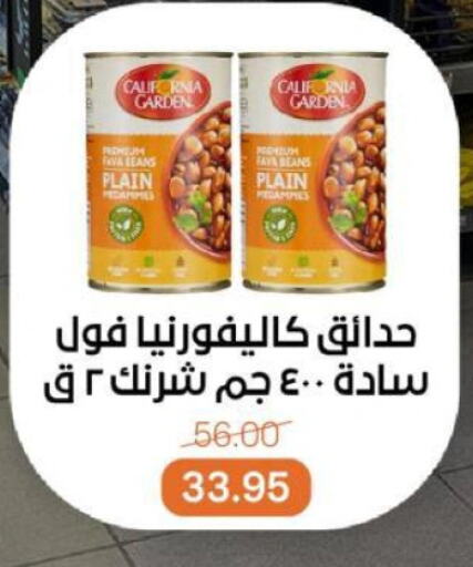 أغذية معلبة ومغلفة in بيت الجملة, Egypt Offers - Egypt كاليفورنيا فول available at بيت الجملة in Egypt - القاهرة