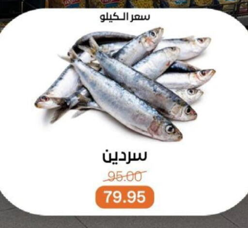 الأسماك الطازجة in بيت الجملة, Egypt Offers - Egypt available at بيت الجملة in Egypt - القاهرة
