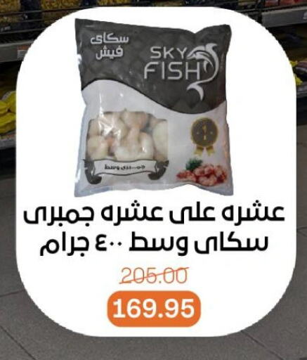 سمك مجمد in بيت الجملة, Egypt Offers - Egypt available at بيت الجملة in Egypt - القاهرة