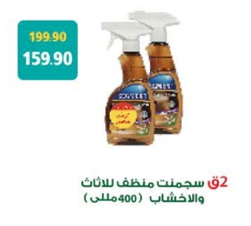 General Cleaner available at Seoudi Supermarket in Egypt - Cairo