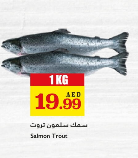 available at Trolleys Supermarket in UAE - Dubai