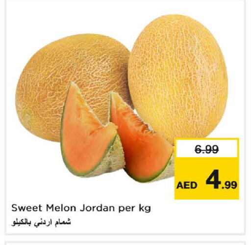شمام from Jordan available at لاست تشانس in الإمارات العربية المتحدة , الامارات - ٱلْفُجَيْرَة‎