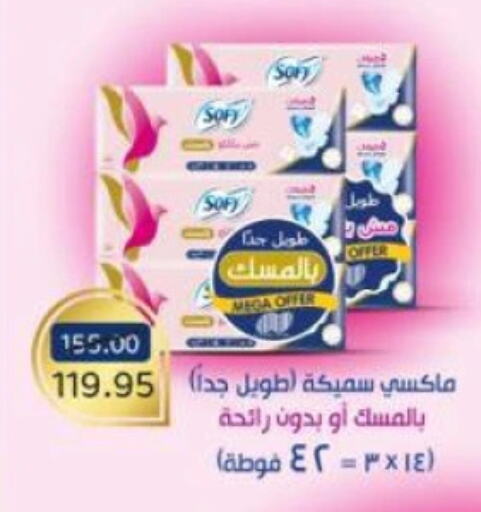 النظافة الشخصية النسائية in بيت الجملة, Egypt Offers - Egypt available at بيت الجملة in Egypt - القاهرة