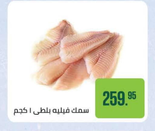 Fresh Fish in Seoudi Supermarket, Egypt Offers - Egypt available at Seoudi Supermarket in Egypt - Cairo