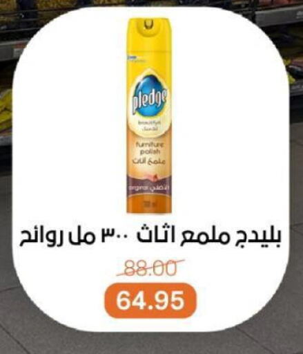 بليدج العناية بالأثاث available at بيت الجملة in Egypt - القاهرة