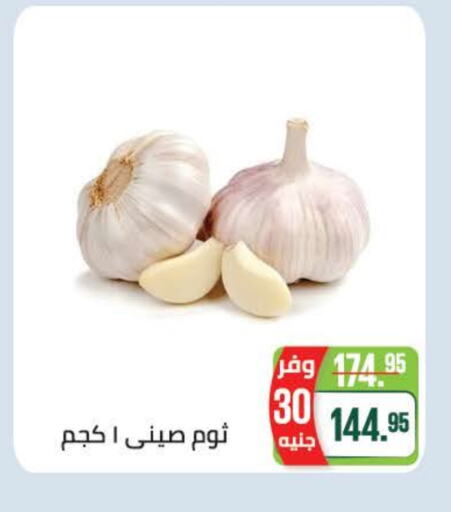 Fresh Vegetables in Seoudi Supermarket, Egypt Offers - Egypt Garlic available at Seoudi Supermarket in Egypt - Cairo