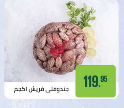 Fresh Fish in Seoudi Supermarket, Egypt Offers - Egypt available at Seoudi Supermarket in Egypt - Cairo