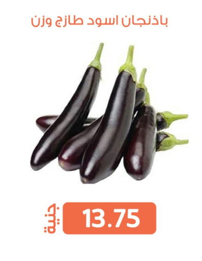 الخضروات الطازجة in سوق غلاب, Egypt Offers - Egypt available at سوق غلاب in Egypt - القاهرة