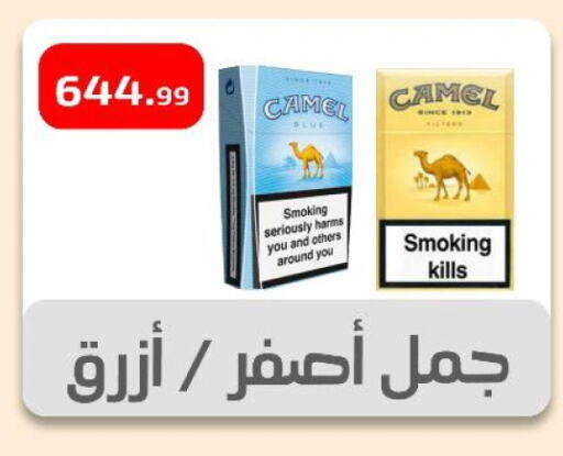 المدرسة و القرطاسية in مؤسسة ايهاب البرنس, Egypt Offers - Egypt available at مؤسسة ايهاب البرنس in Egypt - القاهرة