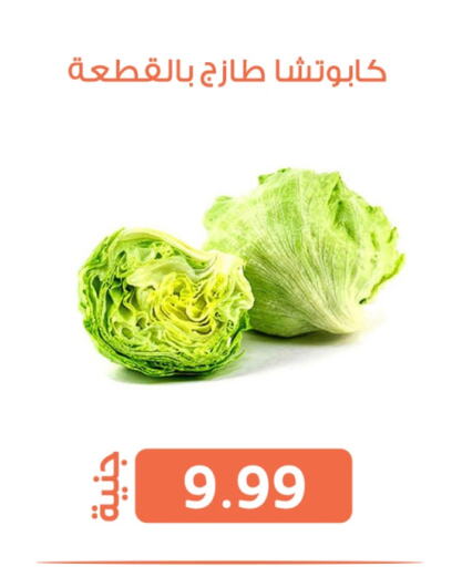 الخضروات الطازجة in سوق غلاب, Egypt Offers - Egypt available at سوق غلاب in Egypt - القاهرة