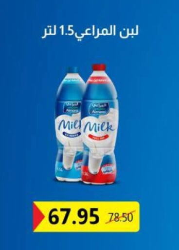 حليب و لبن in بيت الجملة, Egypt Offers - Egypt المراعي لبن available at بيت الجملة in Egypt - القاهرة
