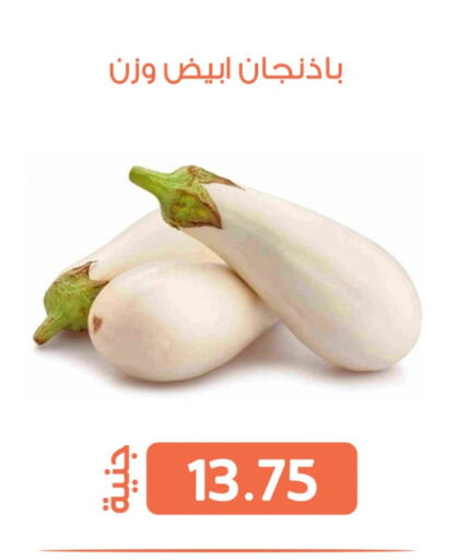 الخضروات الطازجة in سوق غلاب, Egypt Offers - Egypt available at سوق غلاب in Egypt - القاهرة