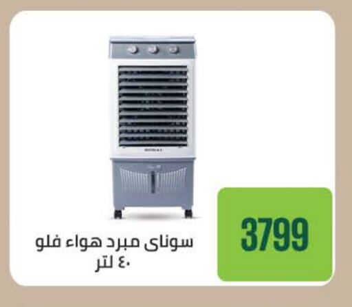 سوناي available at سعودي سوبرماركت in Egypt - القاهرة